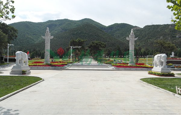 抖圈-为du而生官网入口