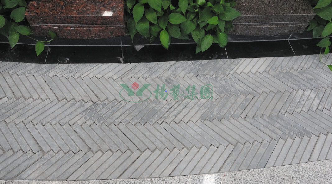 抖圈-为du而生官网入口