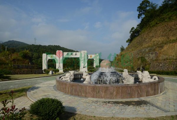 抖圈-为du而生官网入口