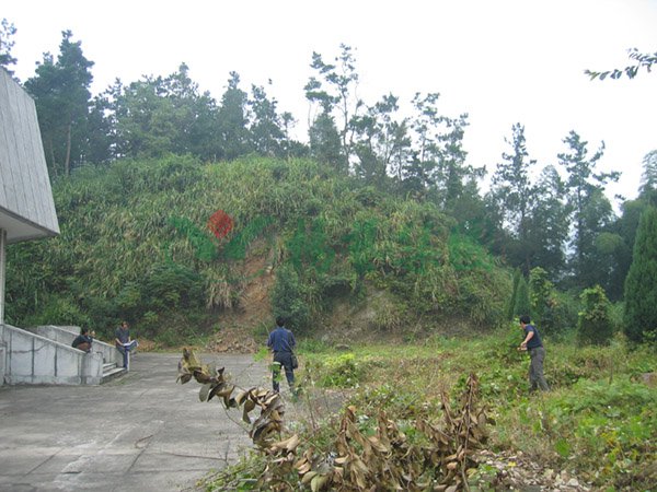 抖圈-为du而生官网入口