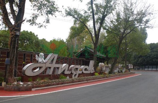 抖圈-为du而生官网入口