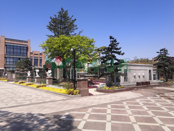 抖圈-为du而生官网入口