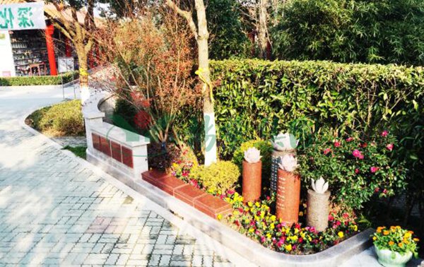 抖圈-为du而生官网入口