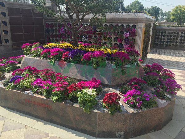 抖圈-为du而生官网入口