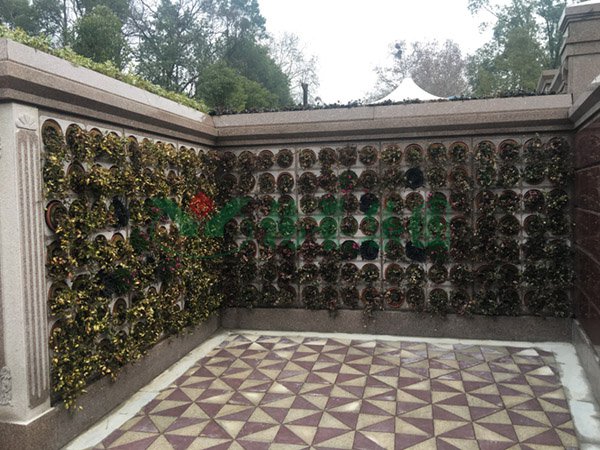 抖圈-为du而生官网入口