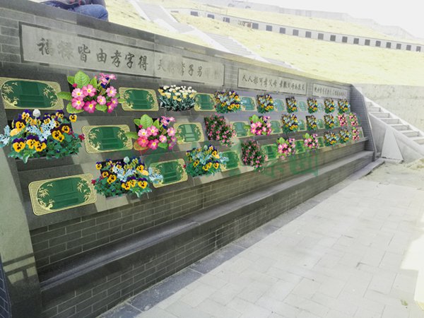 抖圈-为du而生官网入口