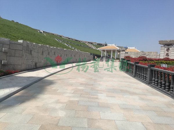 抖圈-为du而生官网入口