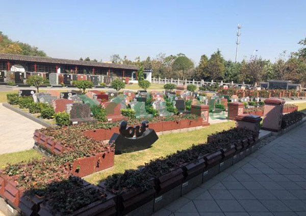 抖圈-为du而生官网入口