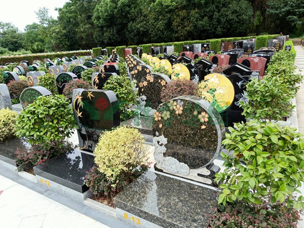 抖圈-为du而生官网入口