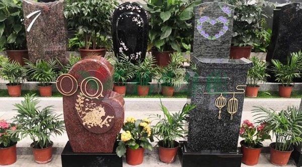 抖圈-为du而生官网入口