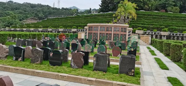 抖圈-为du而生官网入口