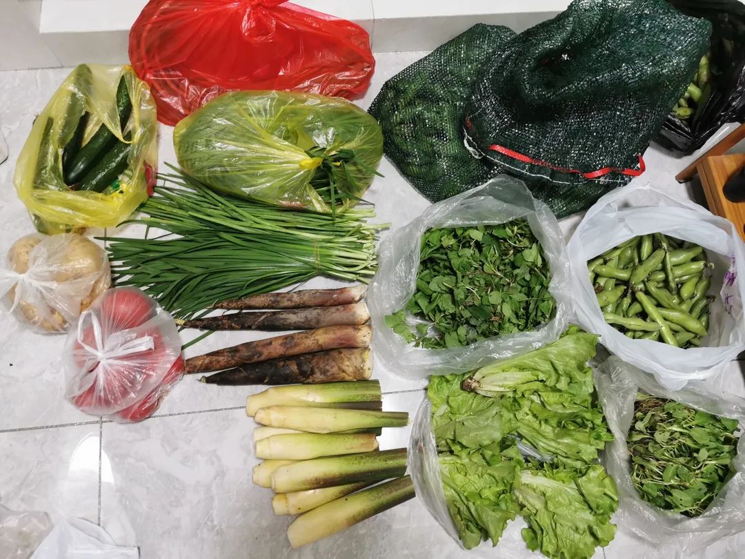 抖圈-为du而生官网入口