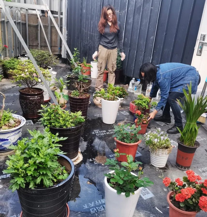 抖圈-为du而生官网入口