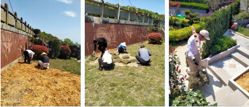 抖圈-为du而生官网入口