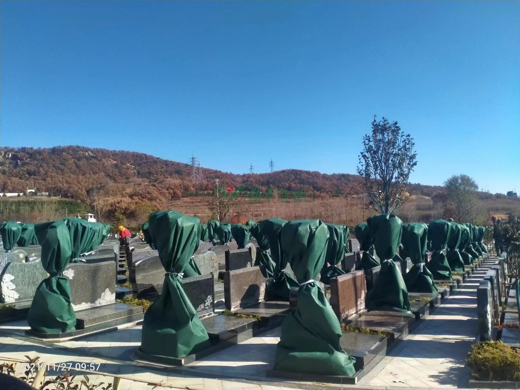 抖圈-为du而生官网入口