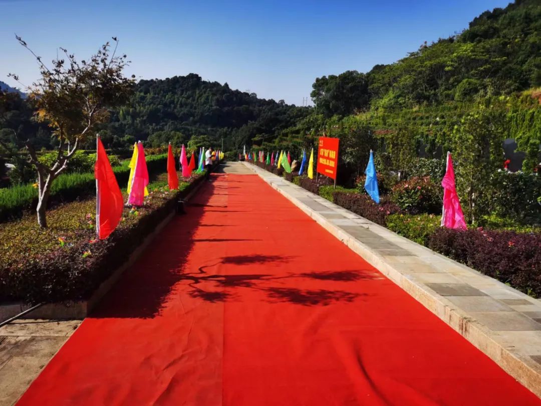 抖圈-为du而生官网入口