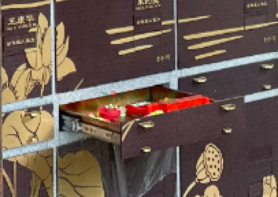 抖圈-为du而生官网入口