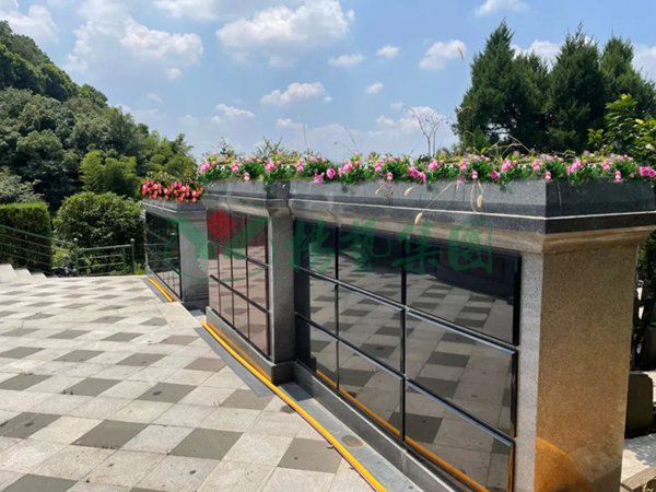 抖圈-为du而生官网入口