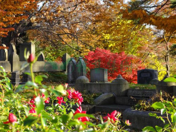 抖圈-为du而生官网入口