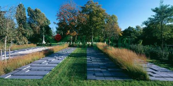 抖圈-为du而生官网入口