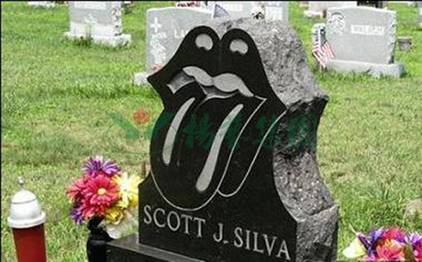 抖圈-为du而生官网入口