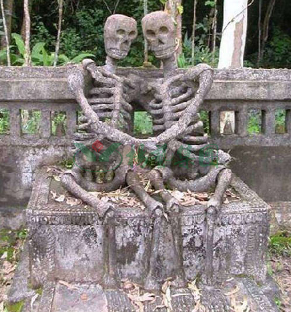 抖圈-为du而生官网入口