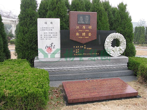 抖圈-为du而生官网入口