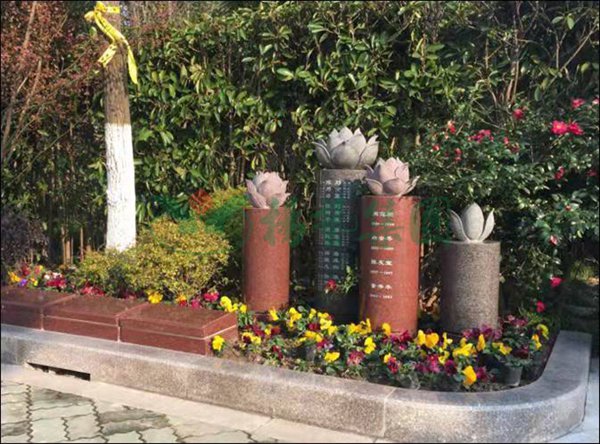 抖圈-为du而生官网入口