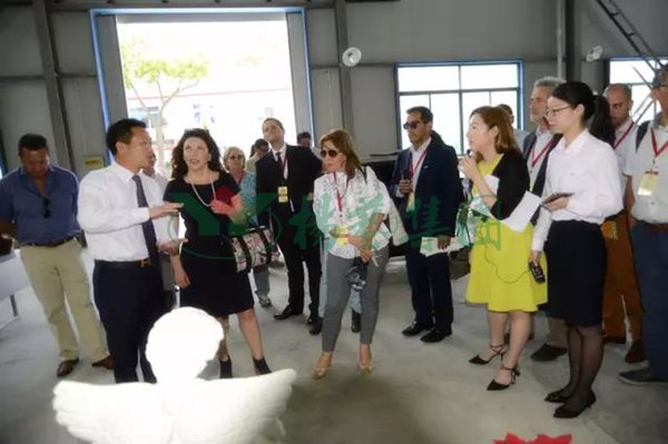 抖圈-为du而生官网入口