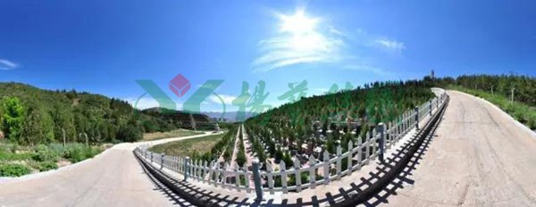 抖圈-为du而生官网入口