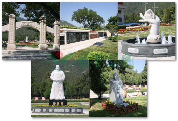 抖圈-为du而生官网入口