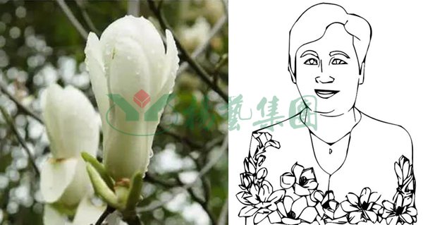 抖圈-为du而生官网入口