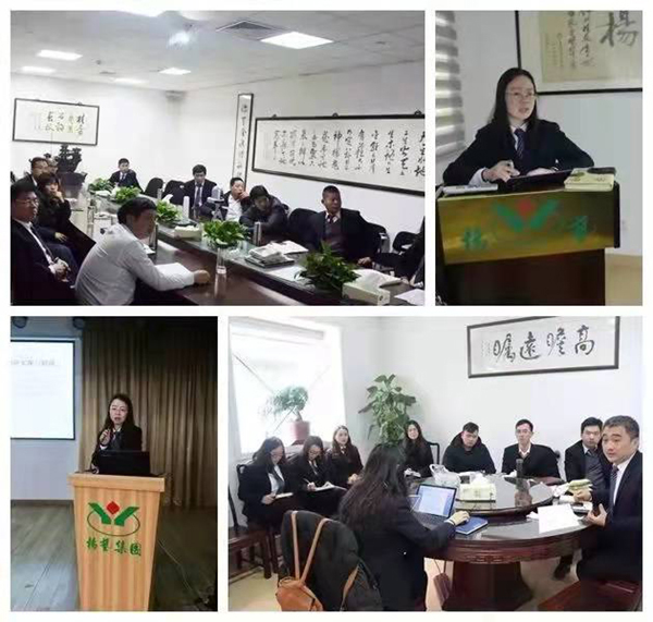 抖圈-为du而生官网入口