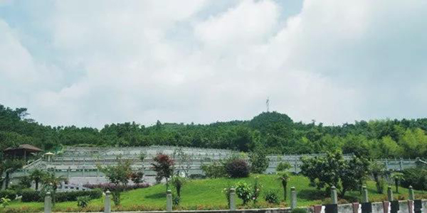 抖圈-为du而生官网入口