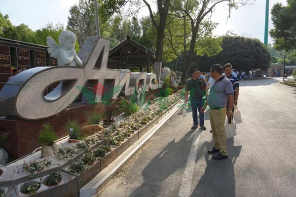 抖圈-为du而生官网入口