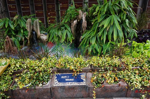 抖圈-为du而生官网入口