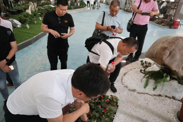 抖圈-为du而生官网入口