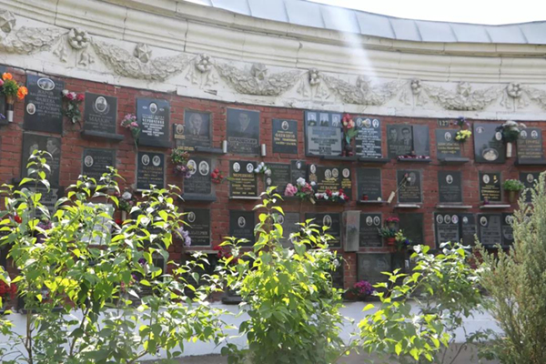 抖圈-为du而生官网入口