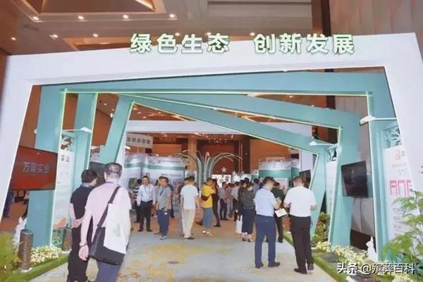 抖圈-为du而生官网入口