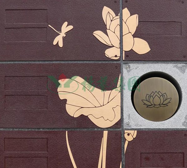 抖圈-为du而生官网入口