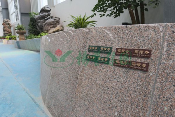 抖圈-为du而生官网入口