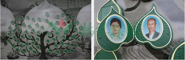 抖圈-为du而生官网入口