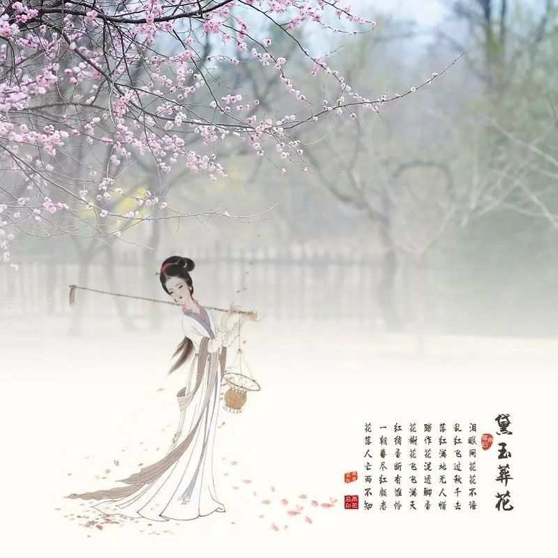 抖圈-为du而生官网入口