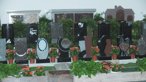 抖圈-为du而生官网入口