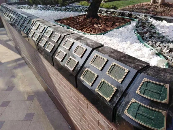 抖圈-为du而生官网入口