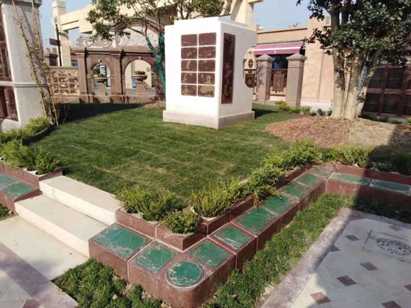 抖圈-为du而生官网入口