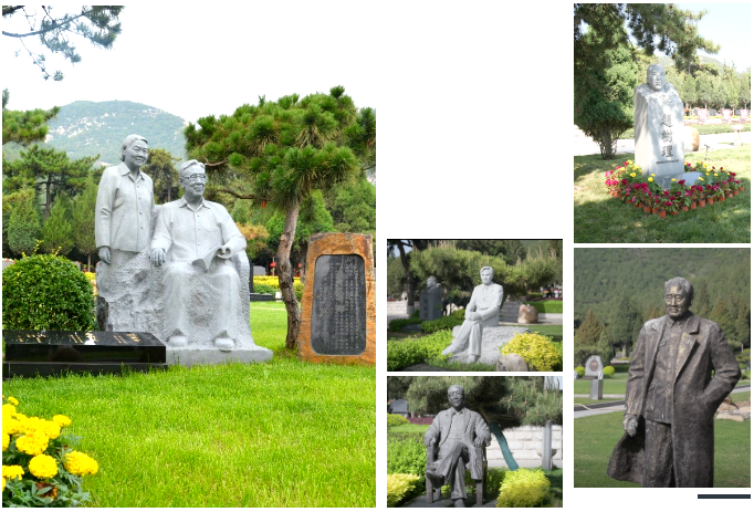 抖圈-为du而生官网入口