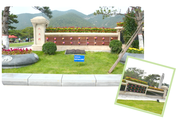 抖圈-为du而生官网入口