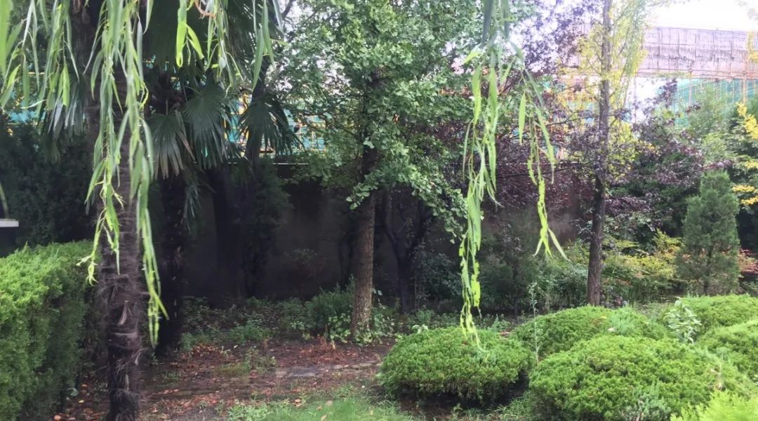 抖圈-为du而生官网入口