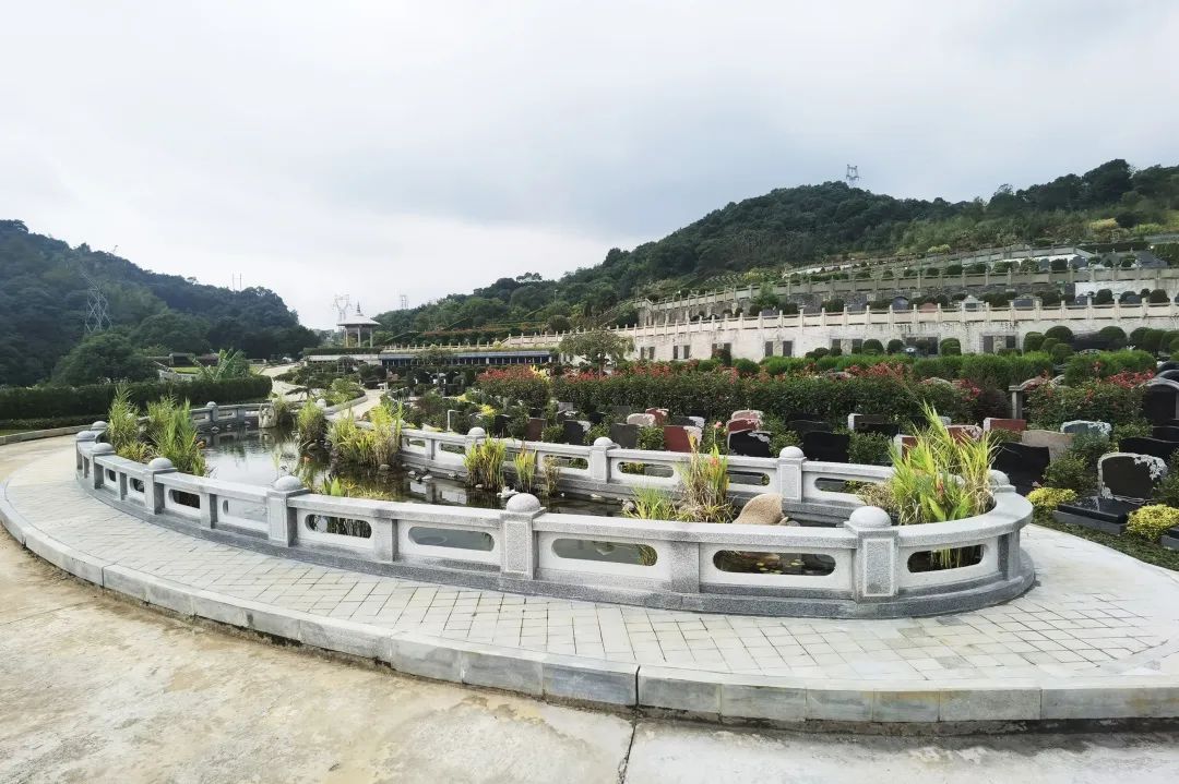 抖圈-为du而生官网入口